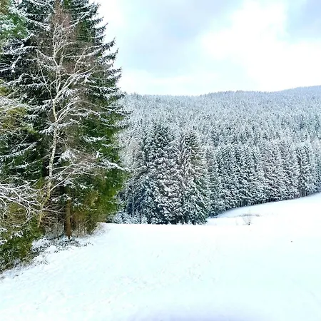 Schnecknhaisl 램