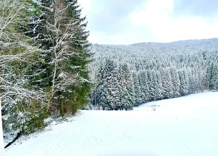 Schnecknhaisl 램